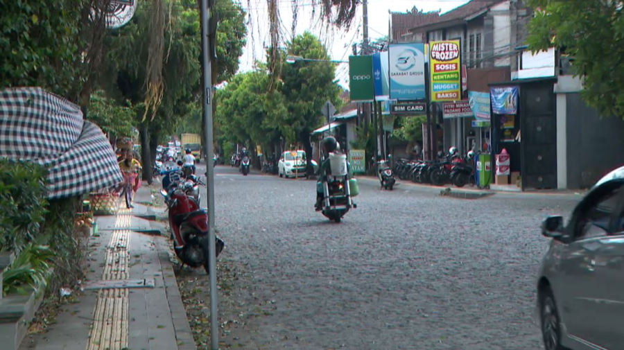 На 66% выросла вырубка лесов в Индонезии