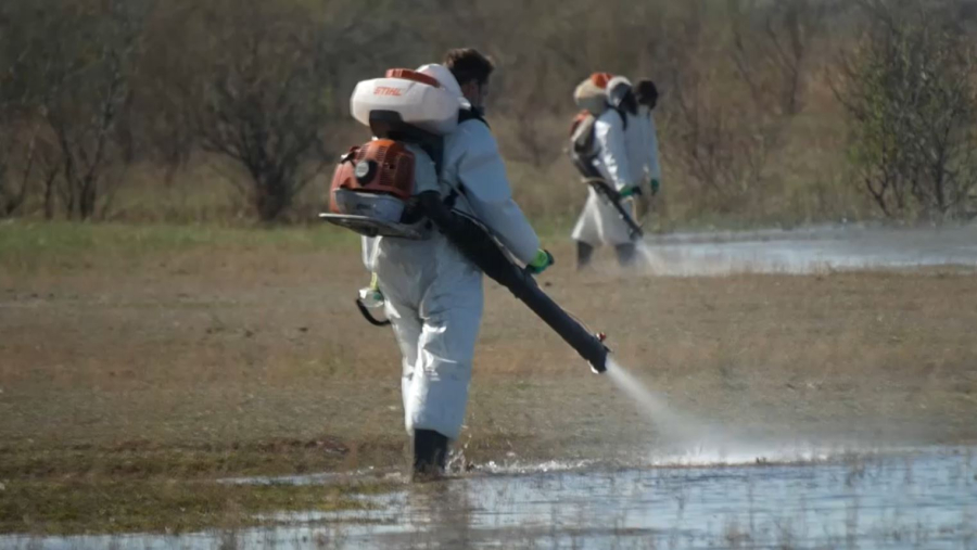 Павлодар облысында маса мен шіркейге қарсы күрес күшейді