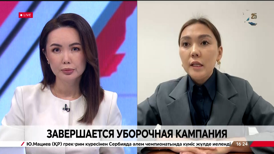 Завершается уборочная кампания. Назгуль Хатепова