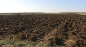 Қарағанды облысының фермерлері жайылым жерлерді қалыпқа келтіре бастады