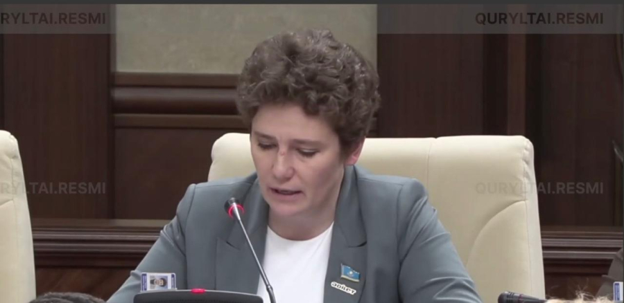 Депутат жол сапасын бақылау жүйесіндегі кемшіліктерді сынға алды