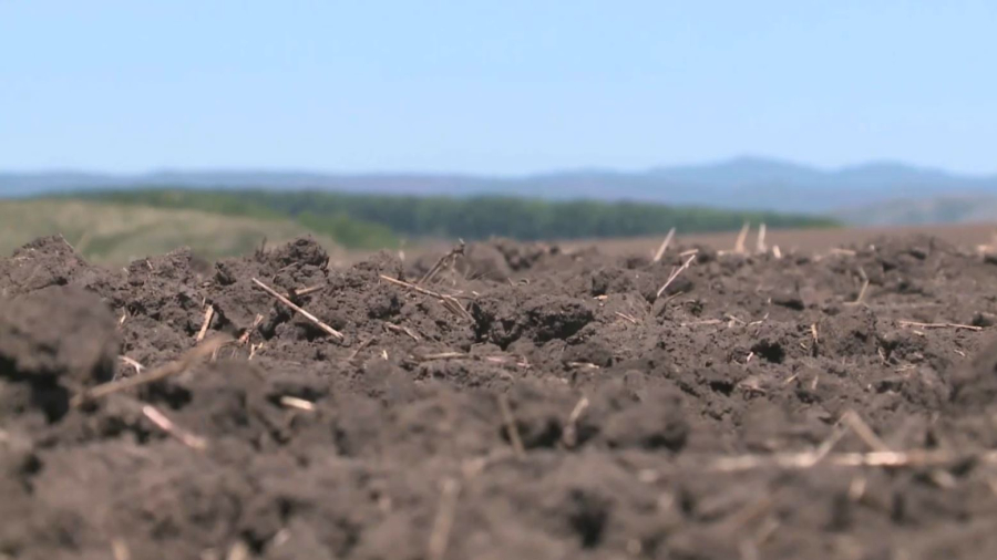 Посев с навигацией: аграрии ВКО работают с помощью спутника