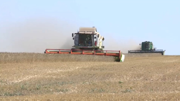 Долю переработки в АПК в текущем году доведут до 50%