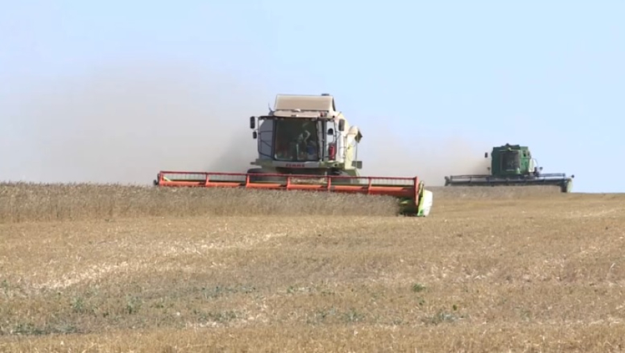 Долю переработки в АПК в текущем году доведут до 50%