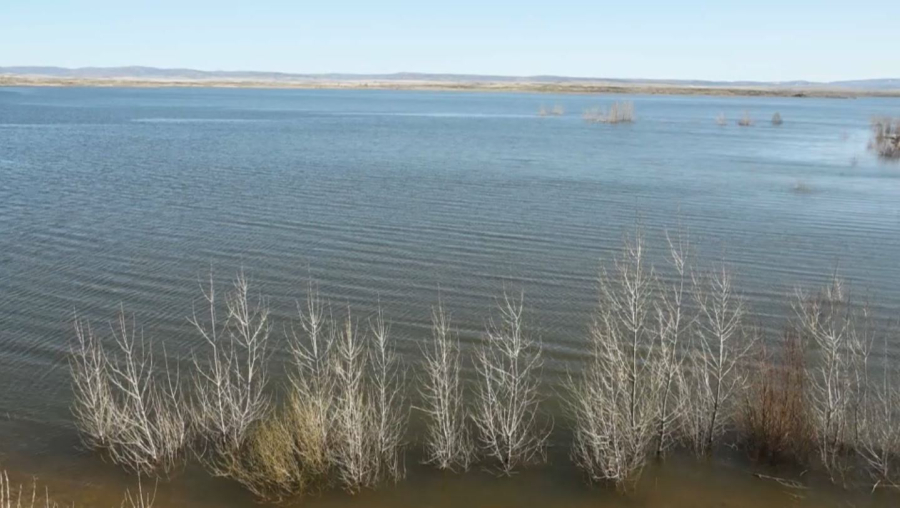 Су шаруашылығын цифрландыру мәселесі талқыланды