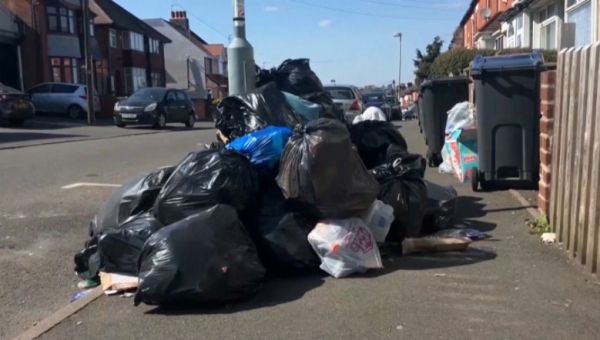 Крысы заполонили Бирмингем из-за забастовки мусорщиков