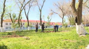 Двор сельского Дома культуры благоустроили в селе Акши Алматинской области