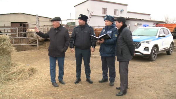 Атырауда полицейлер қараусыз жүрген малдың бәрін қамай бастады