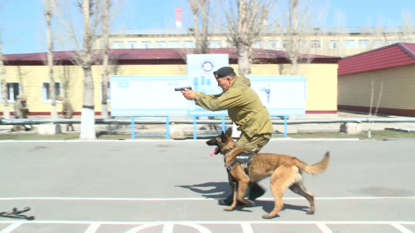 Военная полиция Казахстана отмечает профессиональный праздник