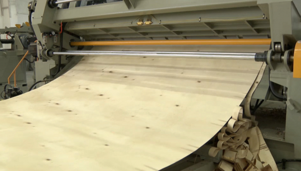 Тоқаев: Ел дамуына мүмкіндік беретін жаңа тетіктерді қарастырған жөн