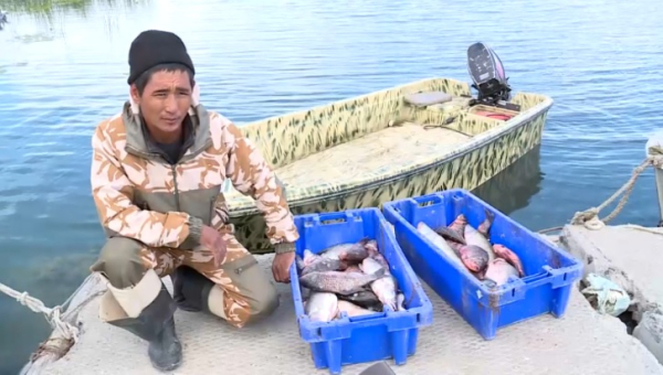 Квоту на вылов рыбы увеличили в Жетысуской области