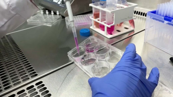 Микроробот для лечения рака изобрели немецкие ученые