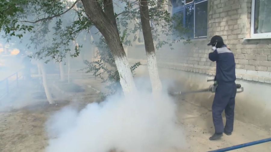 Дезинсекцию против комаров проводят в Атырау