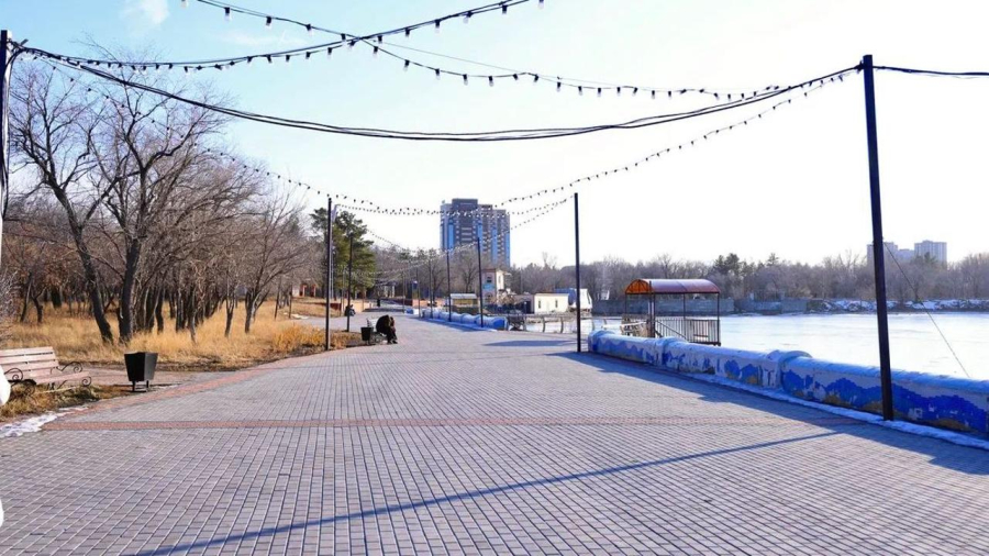 В Центральном парке Караганды посчитали деревья