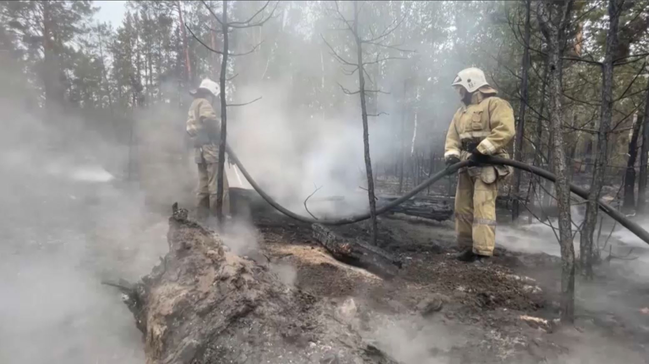 Биыл елімізде 261 орман өрті тіркелді