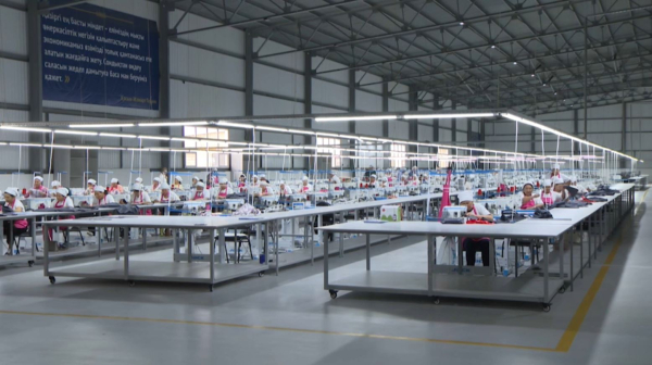 Производители лёгкой промышленности просят расширить господдержку