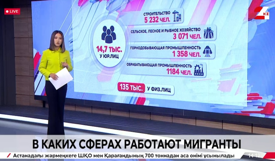 В каких сферах трудятся мигранты в Казахстане