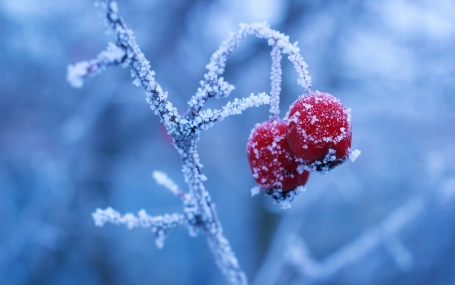 Какая погода ожидает казахстанцев