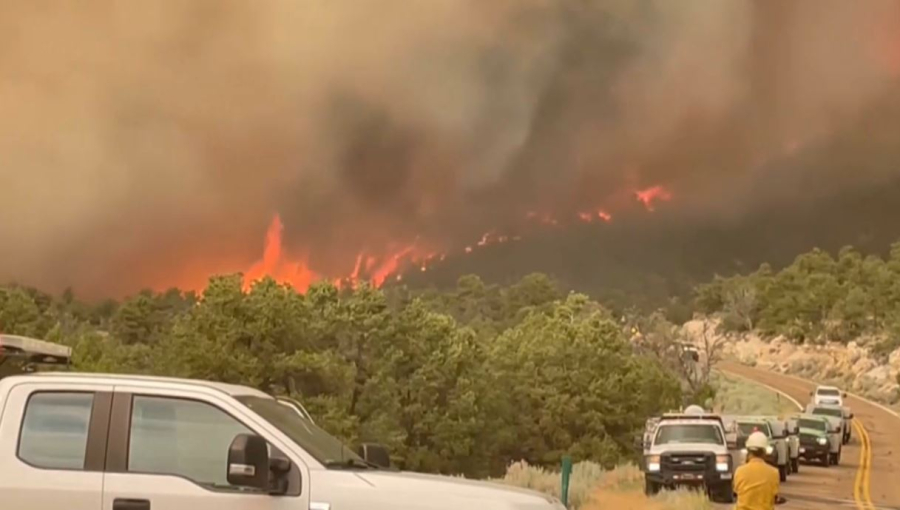 Аризона штатында орман өртінен 500 адам эвакуацияланды