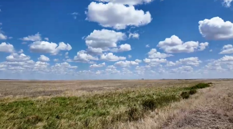 Қостанайлық кәсіпкерлер туризмді дамытуға үлес қосып отыр