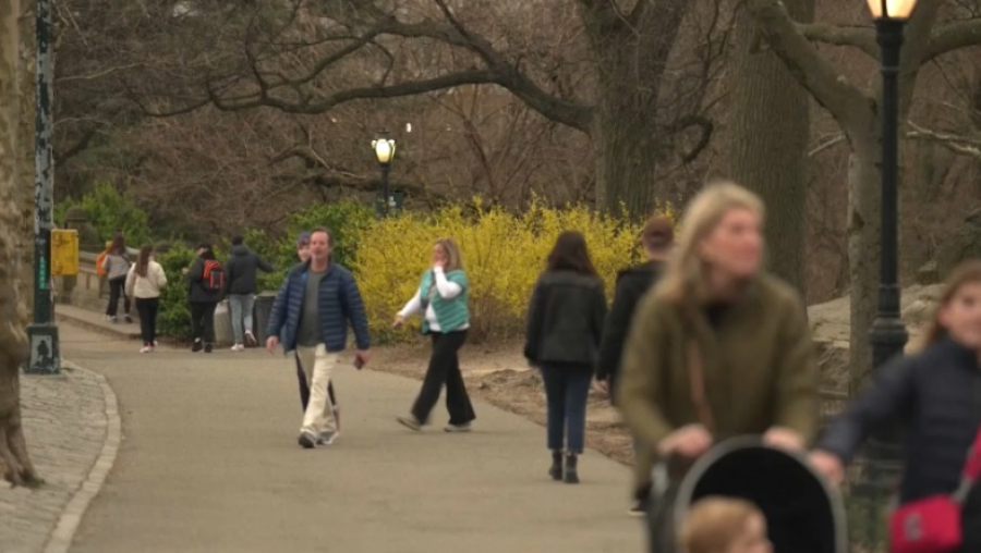 ВОЗ: свыше 20% населения планеты страдает аллергией