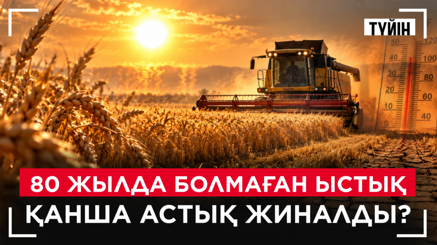 Диқандар жанталасып жатыр. Астық науқаны аяқталуға жақын | Түйін