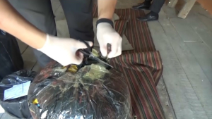 58 кг марихуаны изъяли у наркоторговцев в Костанайской области