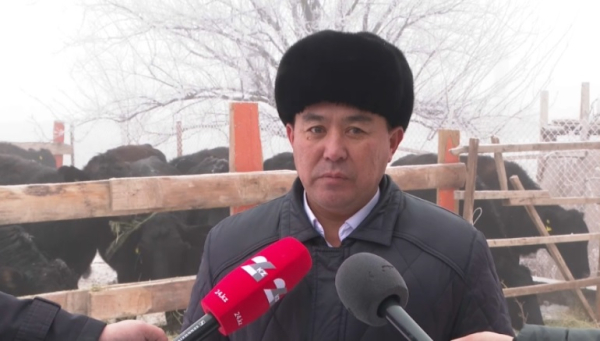 Как программа «Ауыл аманаты» помогает сельчанам