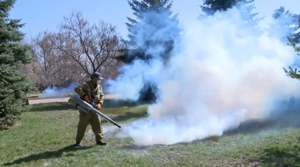Алматыда кенеге қарсы дәрілеу басталды
