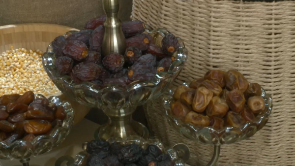 Құрма бізге қайдан келеді?