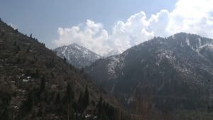 Систему обнаружения пожаров запустили в горах Алматы