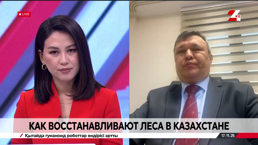 Как в Казахстане восстанавливают леса и кто за них в ответе. Максат Елемесов