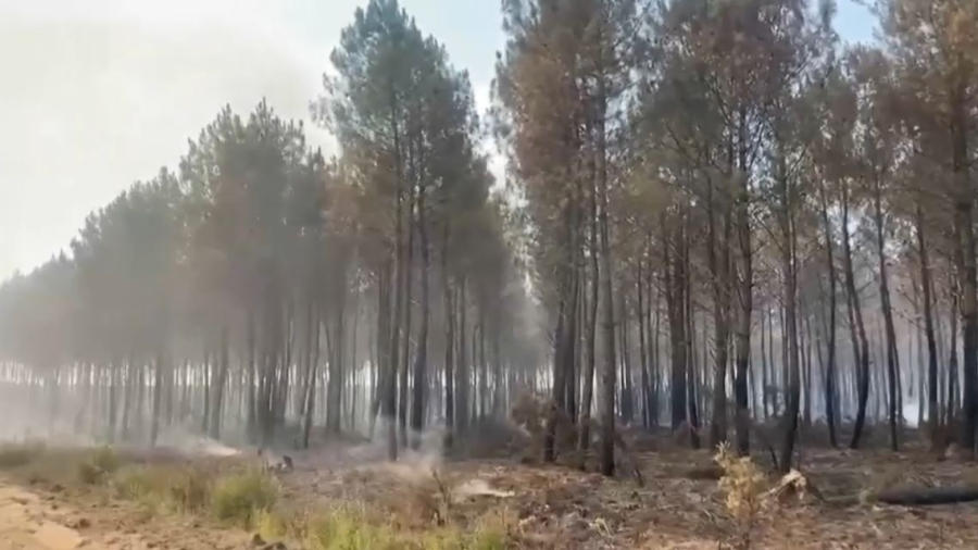 Францияда өрт: 20 мың адам көшірілді