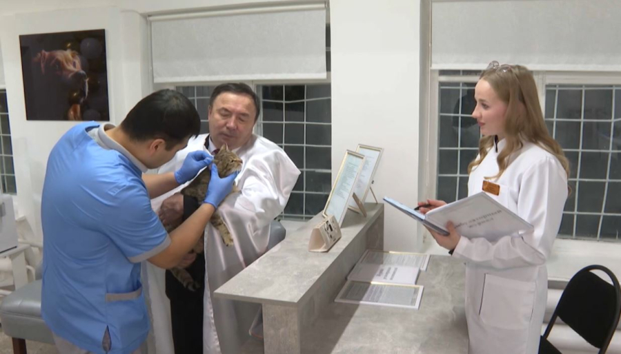 Ветеринария саласына білікті мамандар даярлауға басымдық беріледі