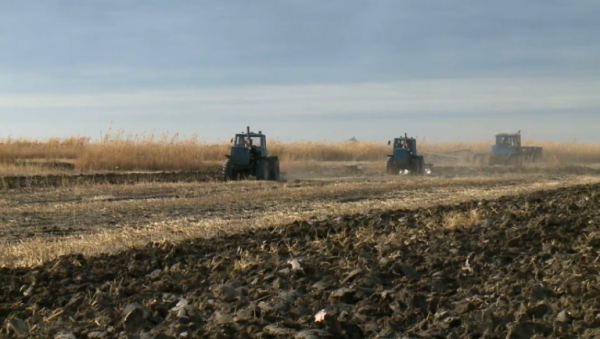 Кызылординские аграрии внедряют новые технологии