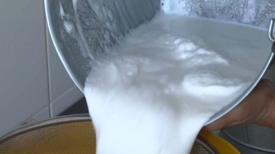 Шубат идёт на экспорт: 30 семей занимаются разведением верблюдов