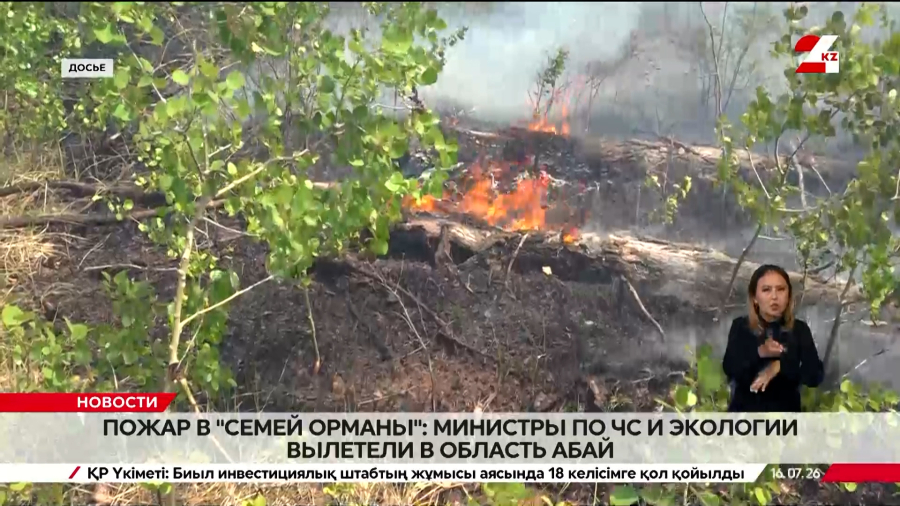Пожар в «Семей орманы»: министры по ЧС и экологии вылетели в область Абай