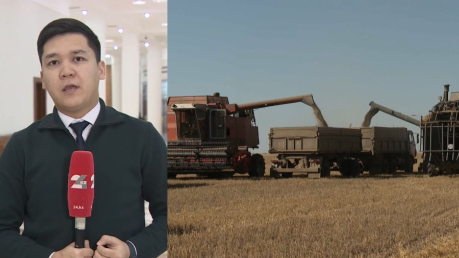 Ел экономикасы 6,4 пайызға өсті