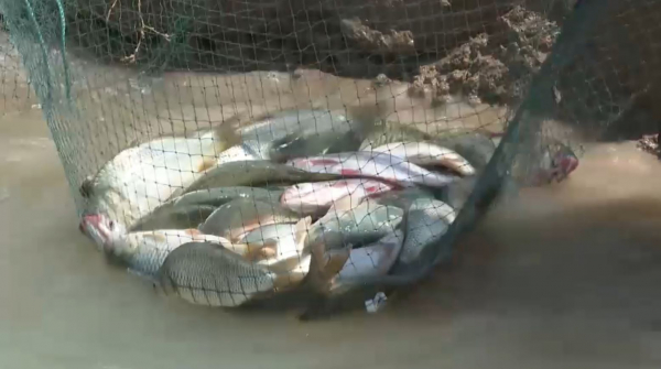 В Туркестанской области увеличилось количество хозяйств на основе термальных источников