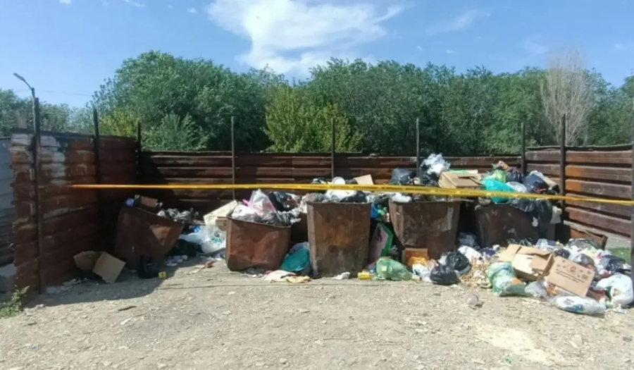 Жамбылда жаңа туған сәбиін қоқысқа тастап кеткен әйел ұсталды