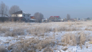 Алматы облысында 300 саяжай елді мекендерге қосылды