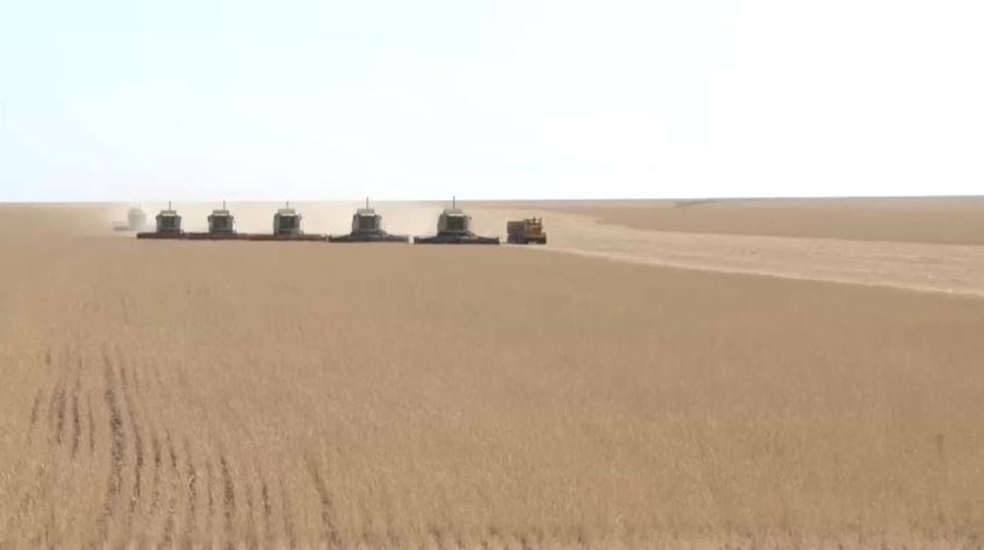 Отандық АӨК ₸700 млрд қолдау алды