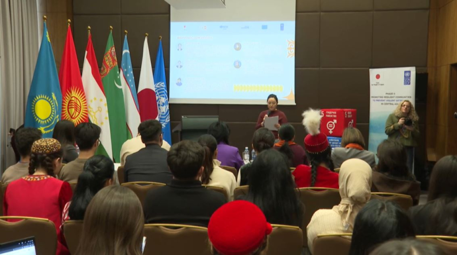 Решения по борьбе с цифровым насилием представили в Астане