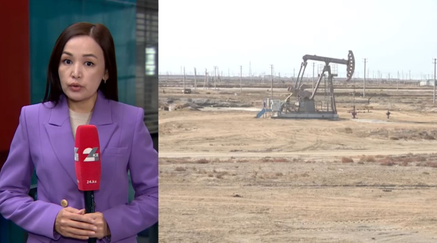 Елде 4 газ өңдеу зауыты бой көтереді