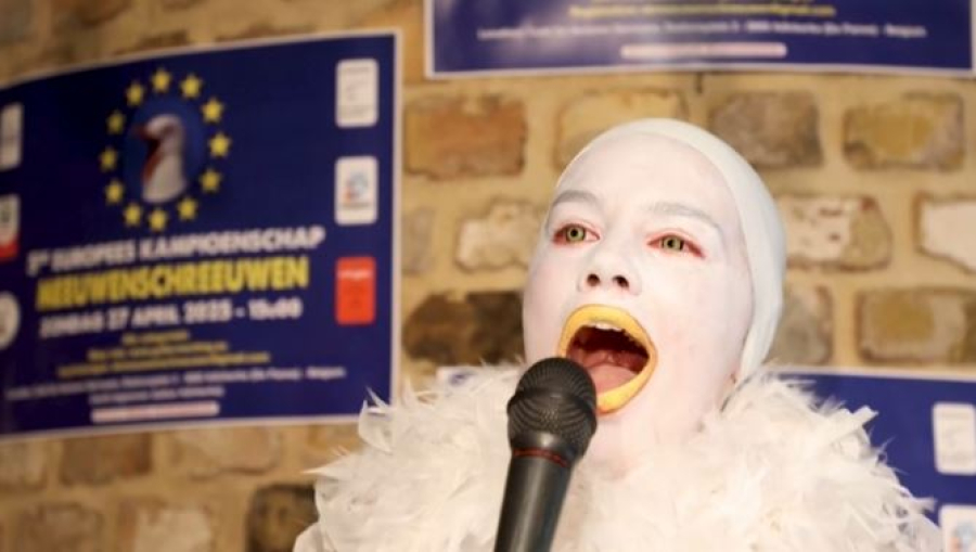 Чемпионат по имитации крика чаек прошёл в Бельгии