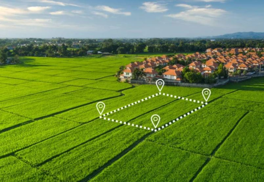 Оформить землю станет проще: Минсельхоз меняет правила