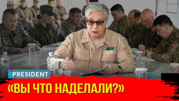 Кто виноват?: «бестолковые» доклады, выговор акиму, отставка министра | President