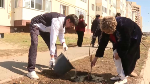 Пять тысяч деревьев высадят в дни празднования Наурыза в Жетысу