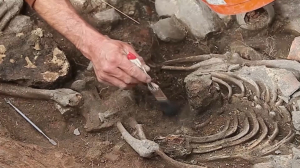 Гробница возрастом более 3000 лет обнаружена в Перу
