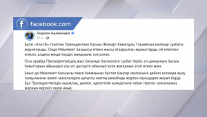 М. Әшімбаев Мемлекет басшысының сұхбатына қатысты пікір білдірді